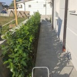 Вила Калисто